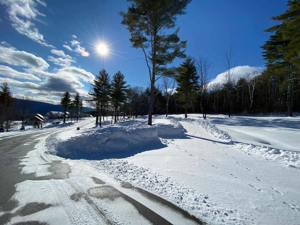 557 Partridge Hill Road Manchester VT 05255