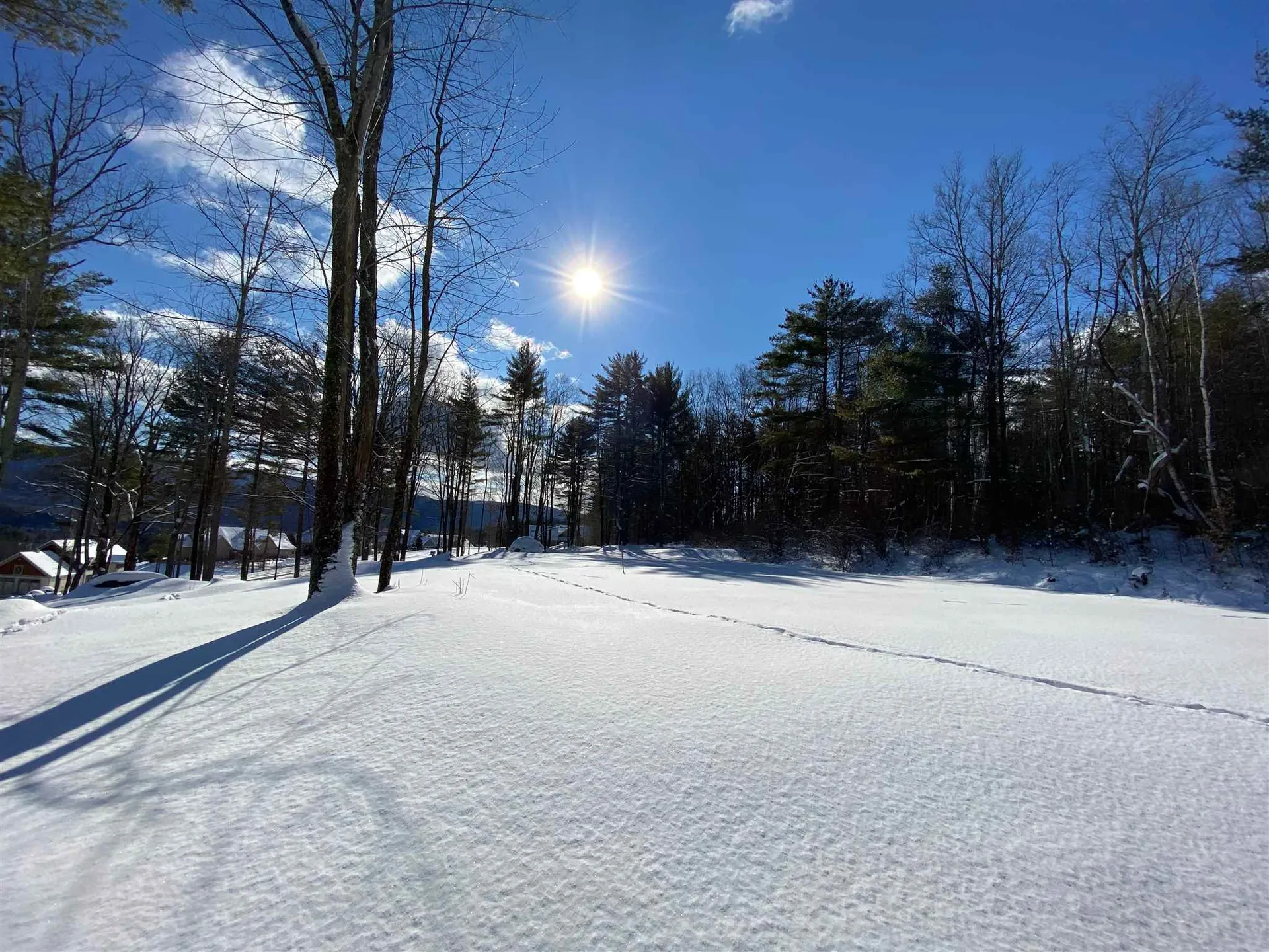 557 Partridge Hill Road Manchester VT 05255