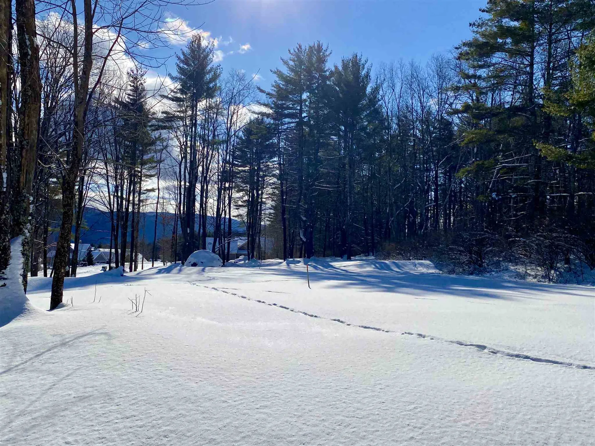 557 Partridge Hill Road Manchester VT 05255