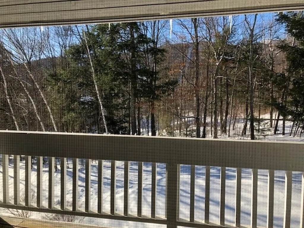 9 Paradise Way Warren VT 05674