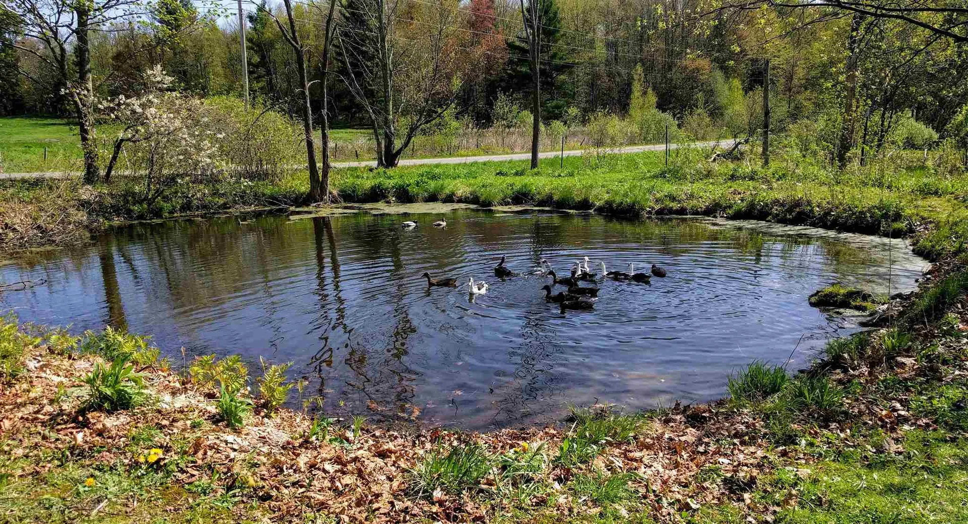 3330 Middle Road Franklin VT 05457