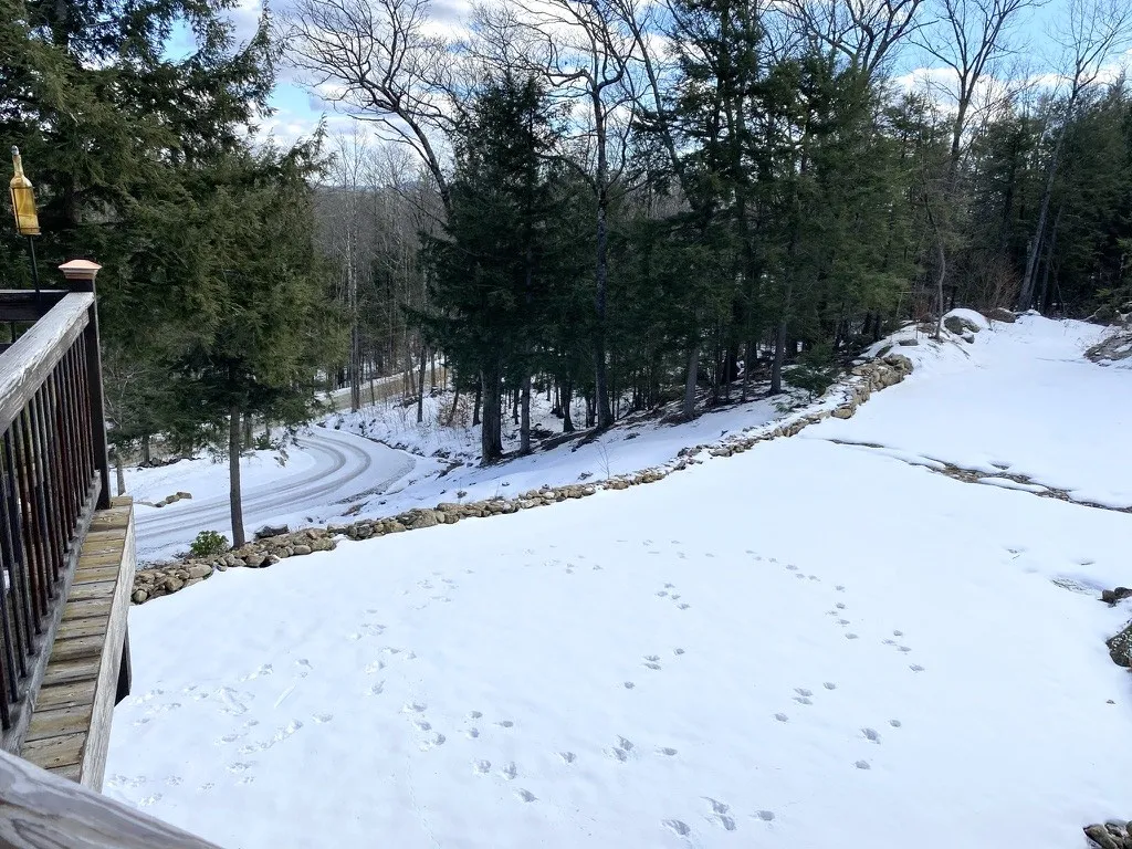 302 Cheney Road Newbury NH 03255