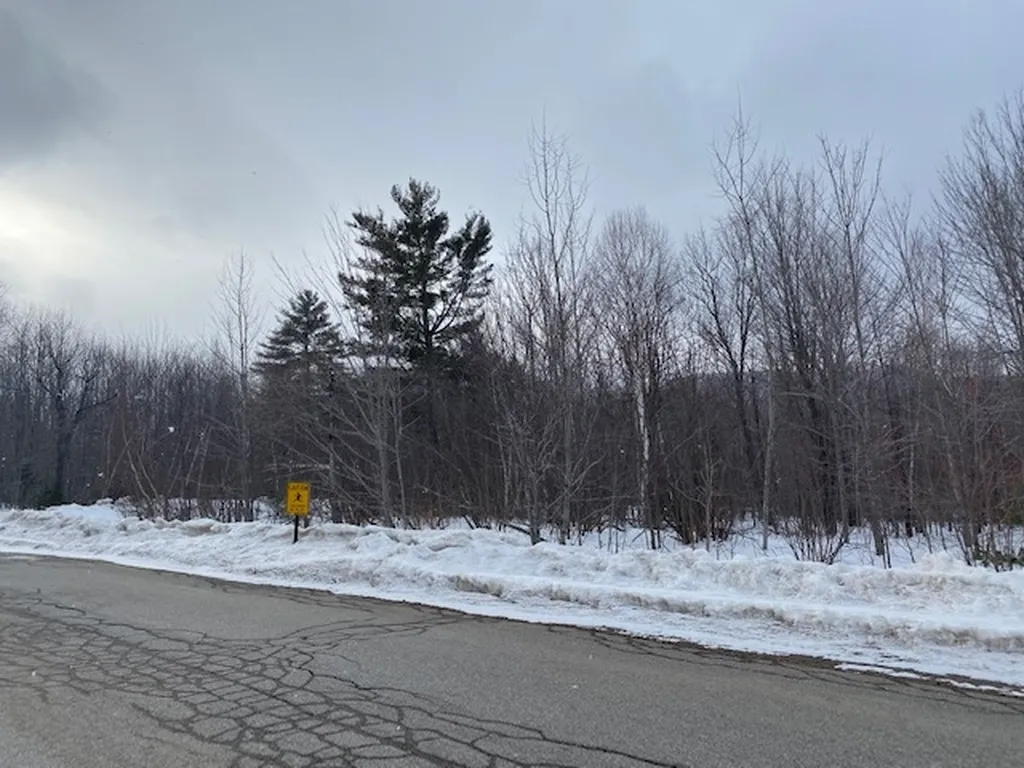18 Mount Carter Drive Gorham NH 03581