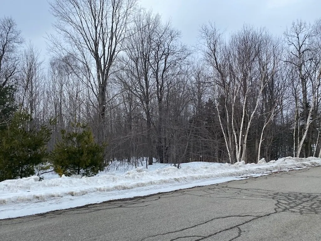 18 Mount Carter Drive Gorham NH 03581