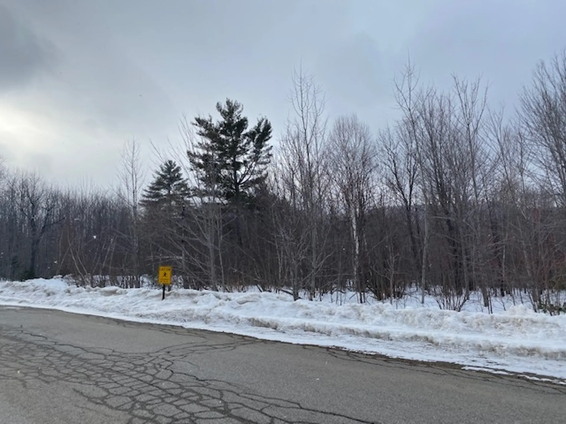 18 Mount Carter Drive Gorham NH 03581
