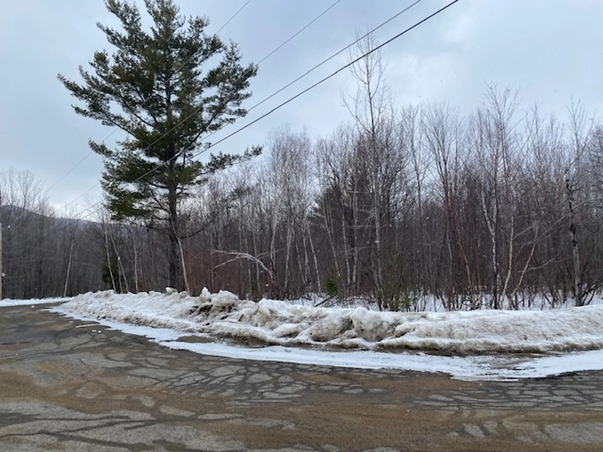 18 Mount Carter Drive Gorham NH 03581
