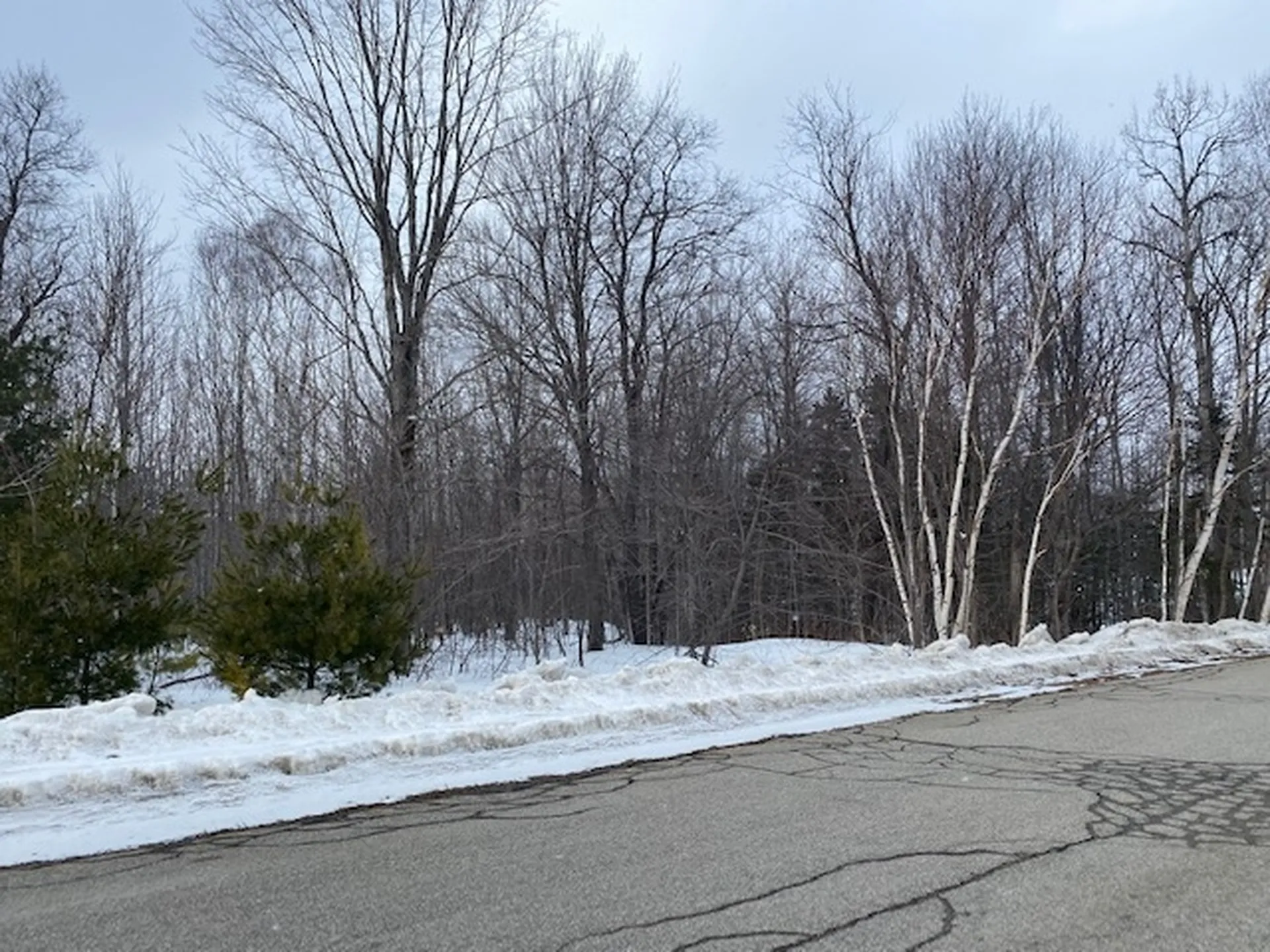 18 Mount Carter Drive Gorham NH 03581