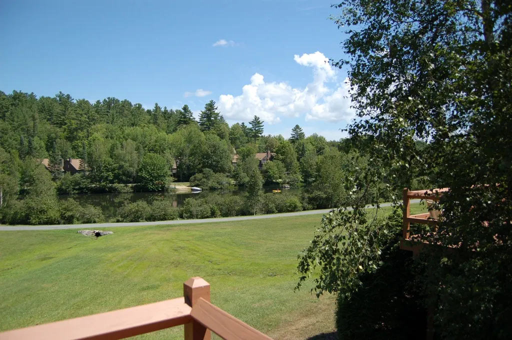 816 Covered Bridge Lane Grantham NH 03753