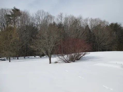 20 Concord Hill Drive Keene NH 03431