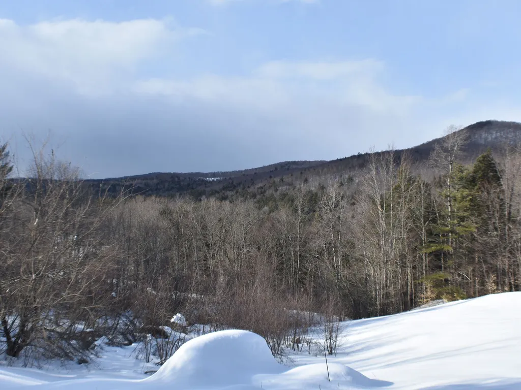 1444 Airport Road Fayston VT 05660
