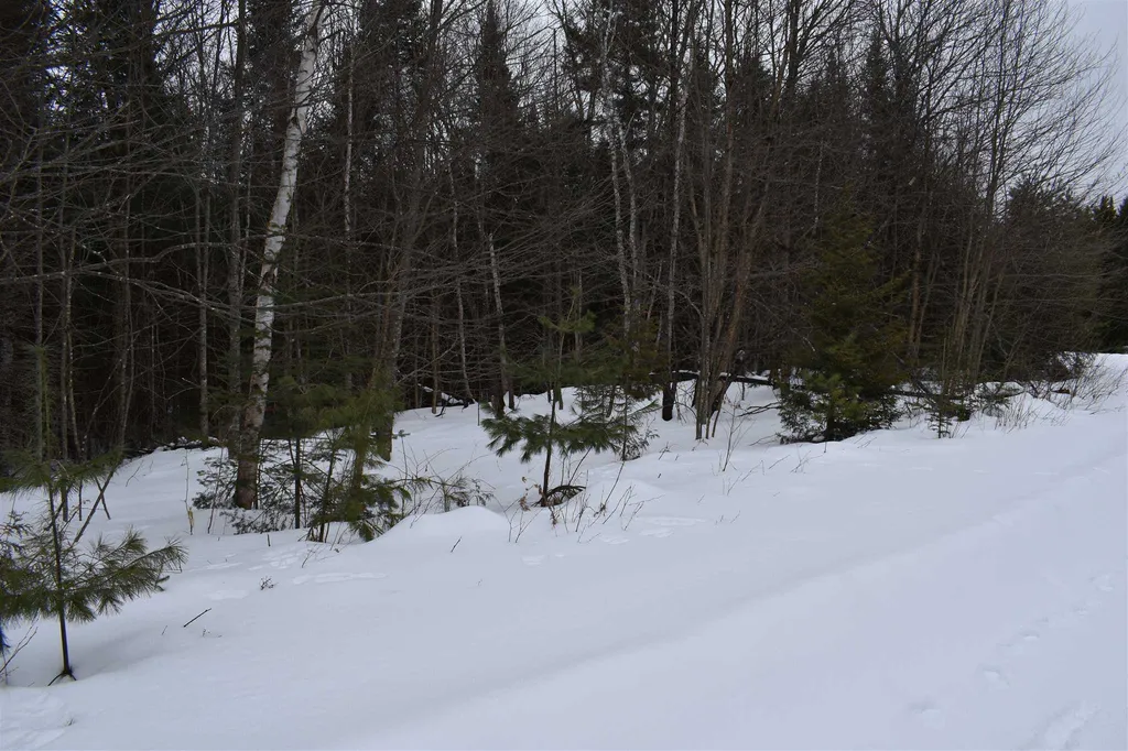 00 Twin Brooks Road Groton VT 05046