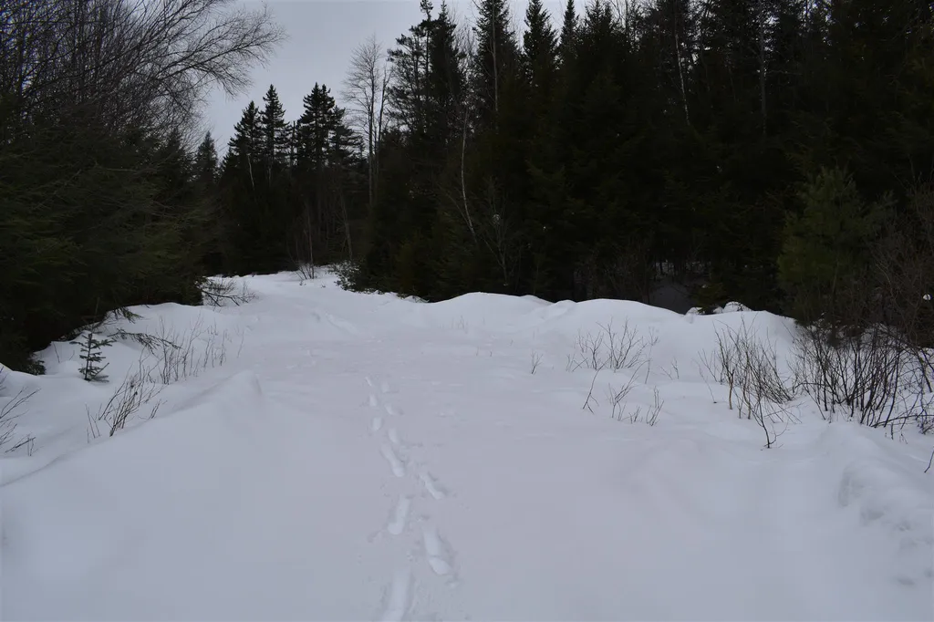 00 Twin Brooks Road Groton VT 05046