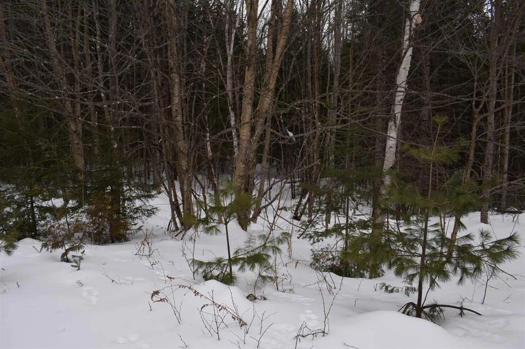 00 Twin Brooks Road Groton VT 05046