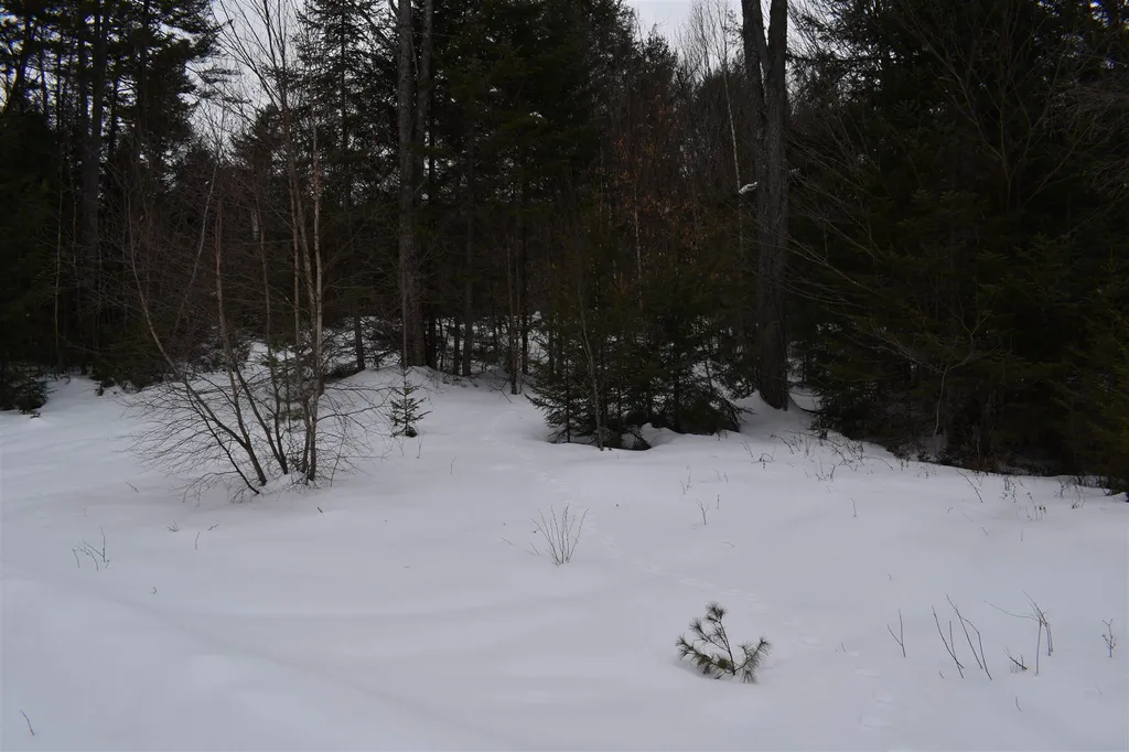 00 Twin Brooks Road Groton VT 05046