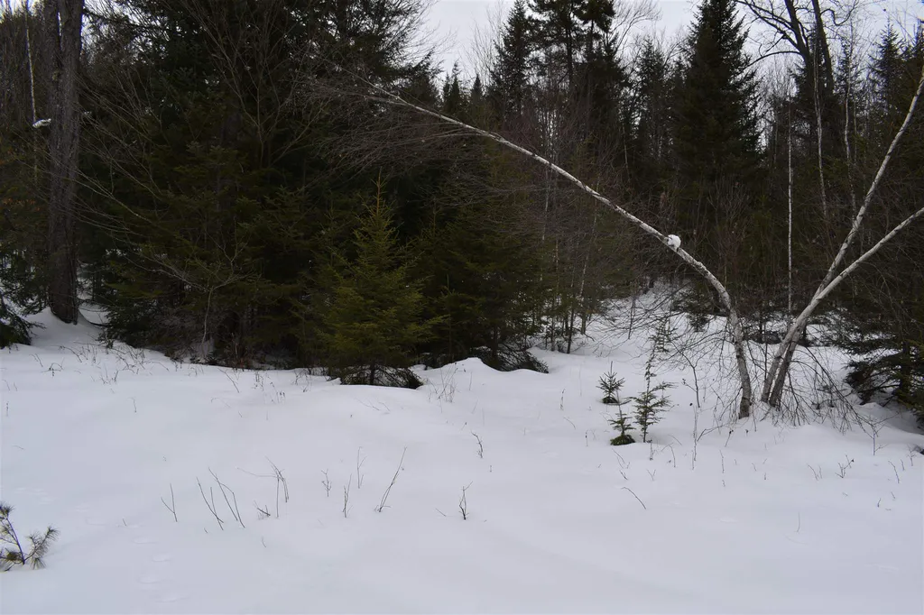 00 Twin Brooks Road Groton VT 05046