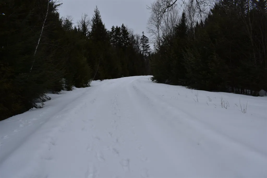 00 Twin Brooks Road Groton VT 05046