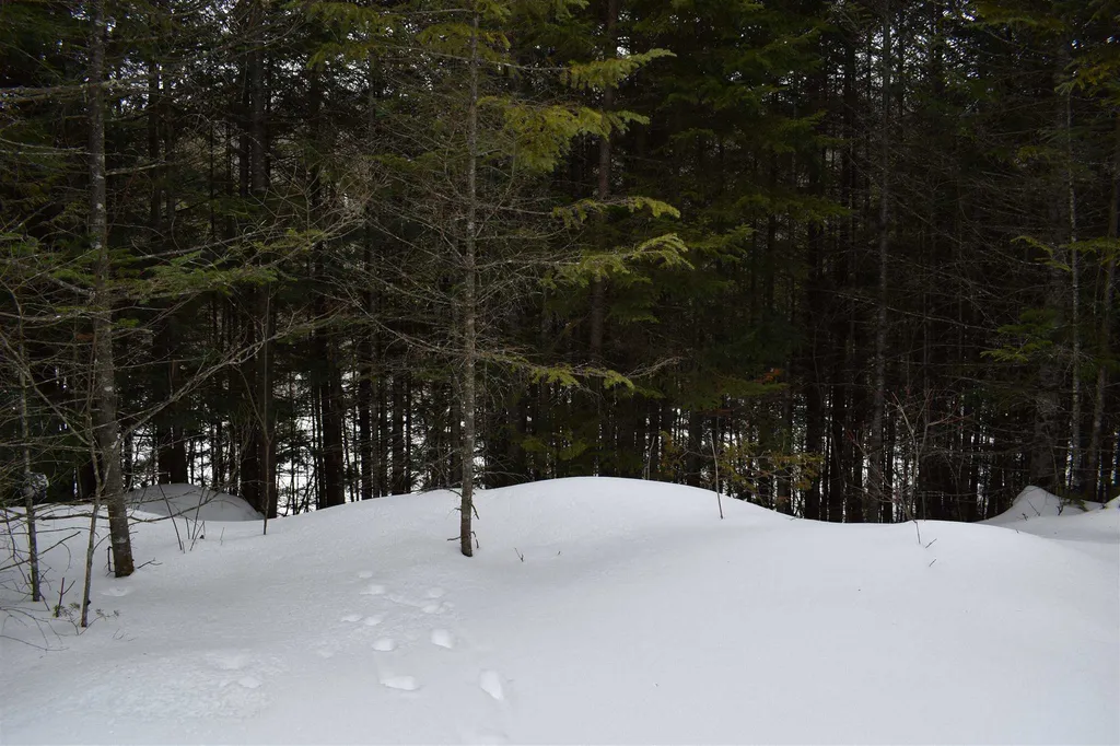 00 Twin Brooks Road Groton VT 05046