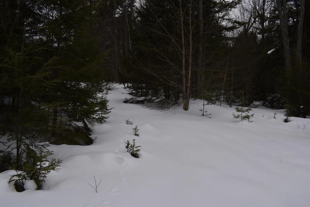 00 Twin Brooks Road Groton VT 05046