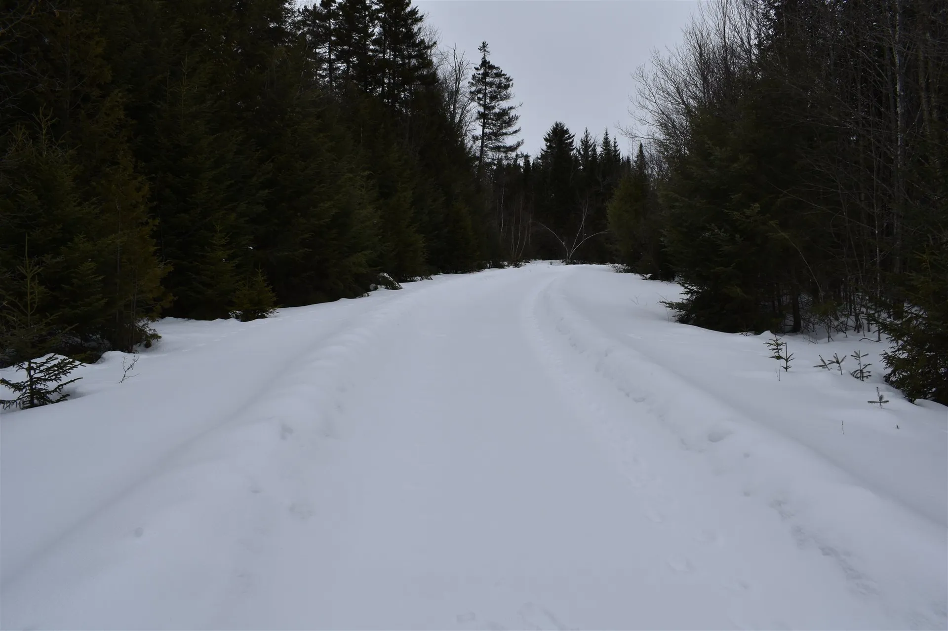 00 Twin Brooks Road Groton VT 05046
