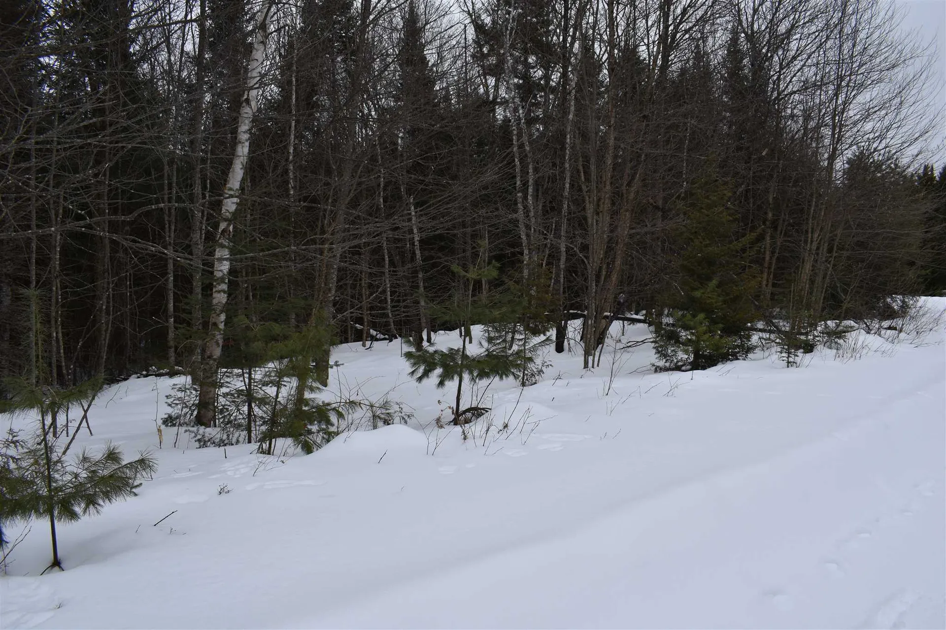 00 Twin Brooks Road Groton VT 05046