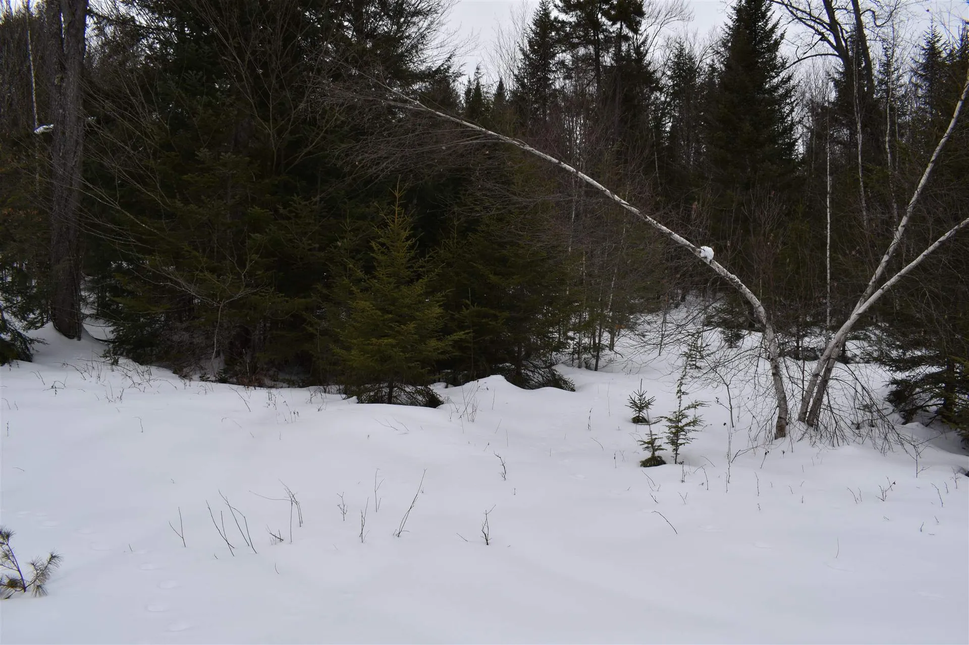 00 Twin Brooks Road Groton VT 05046