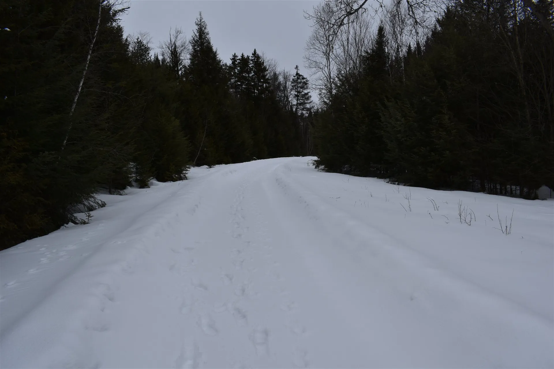 00 Twin Brooks Road Groton VT 05046