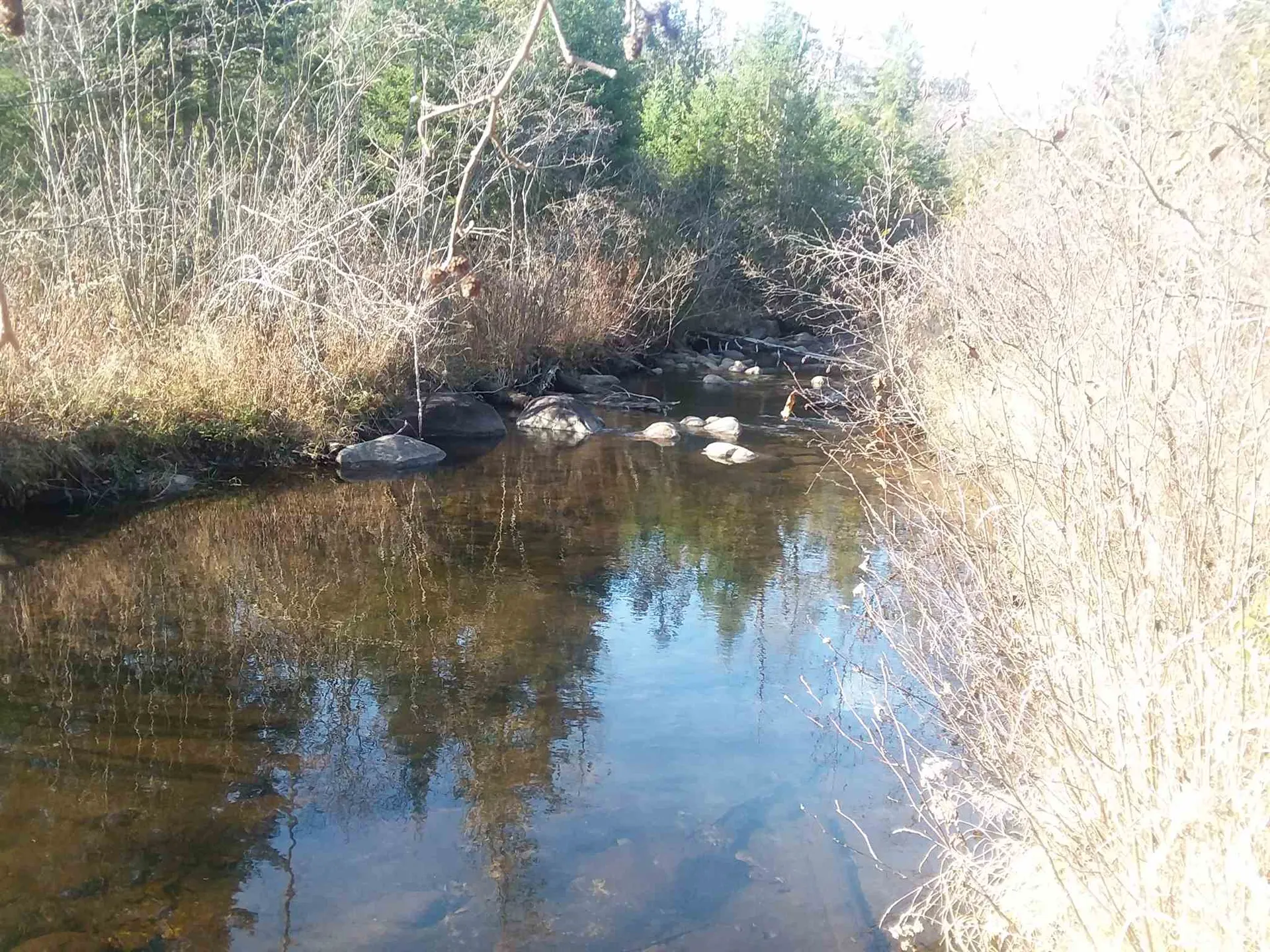00 Twin Brooks Road Groton VT 05046