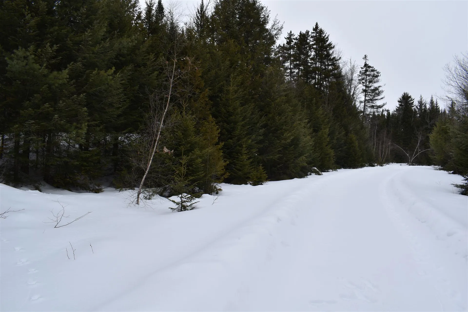 00 Twin Brooks Road Groton VT 05046