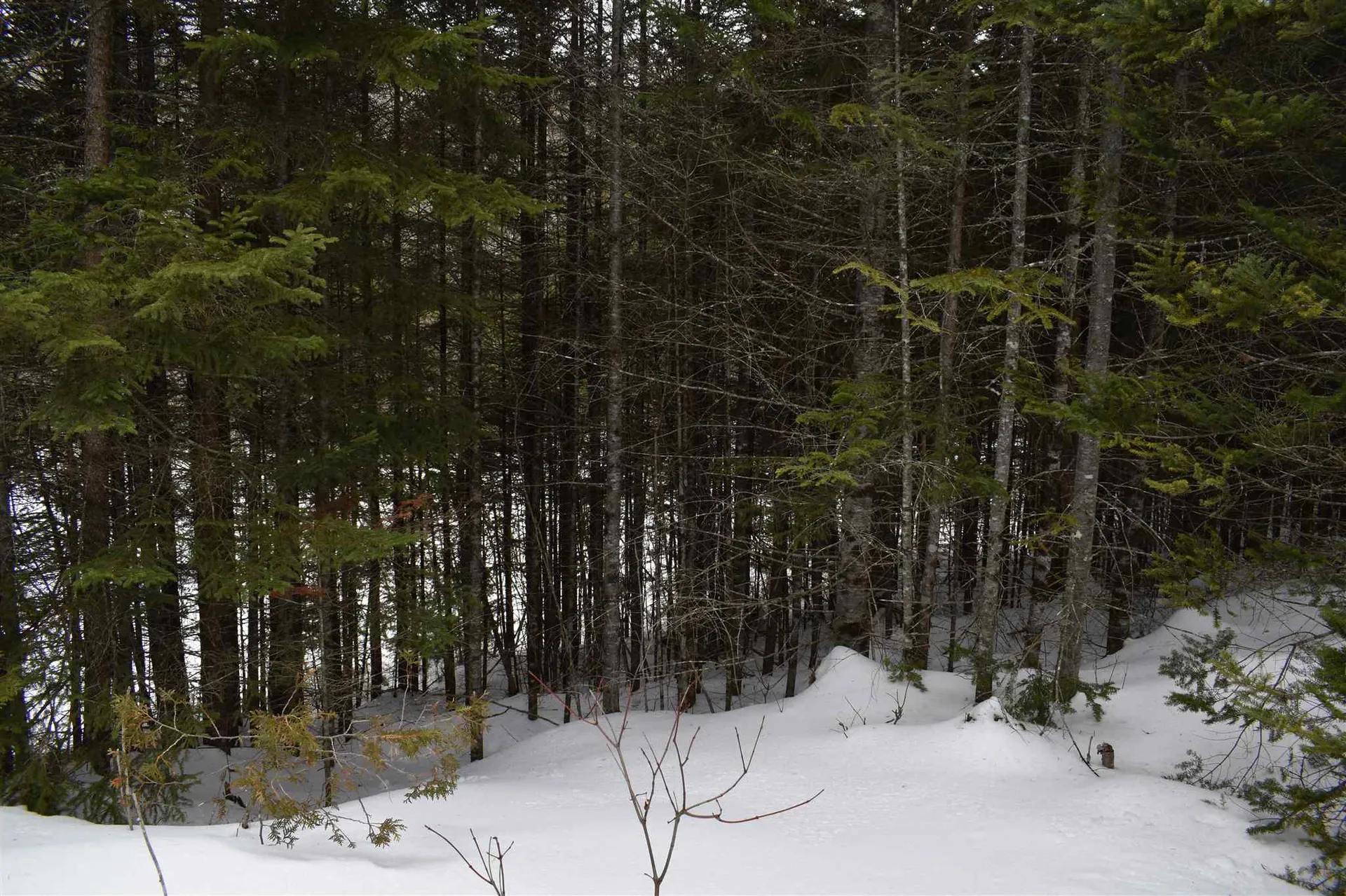 00 Twin Brooks Road Groton VT 05046