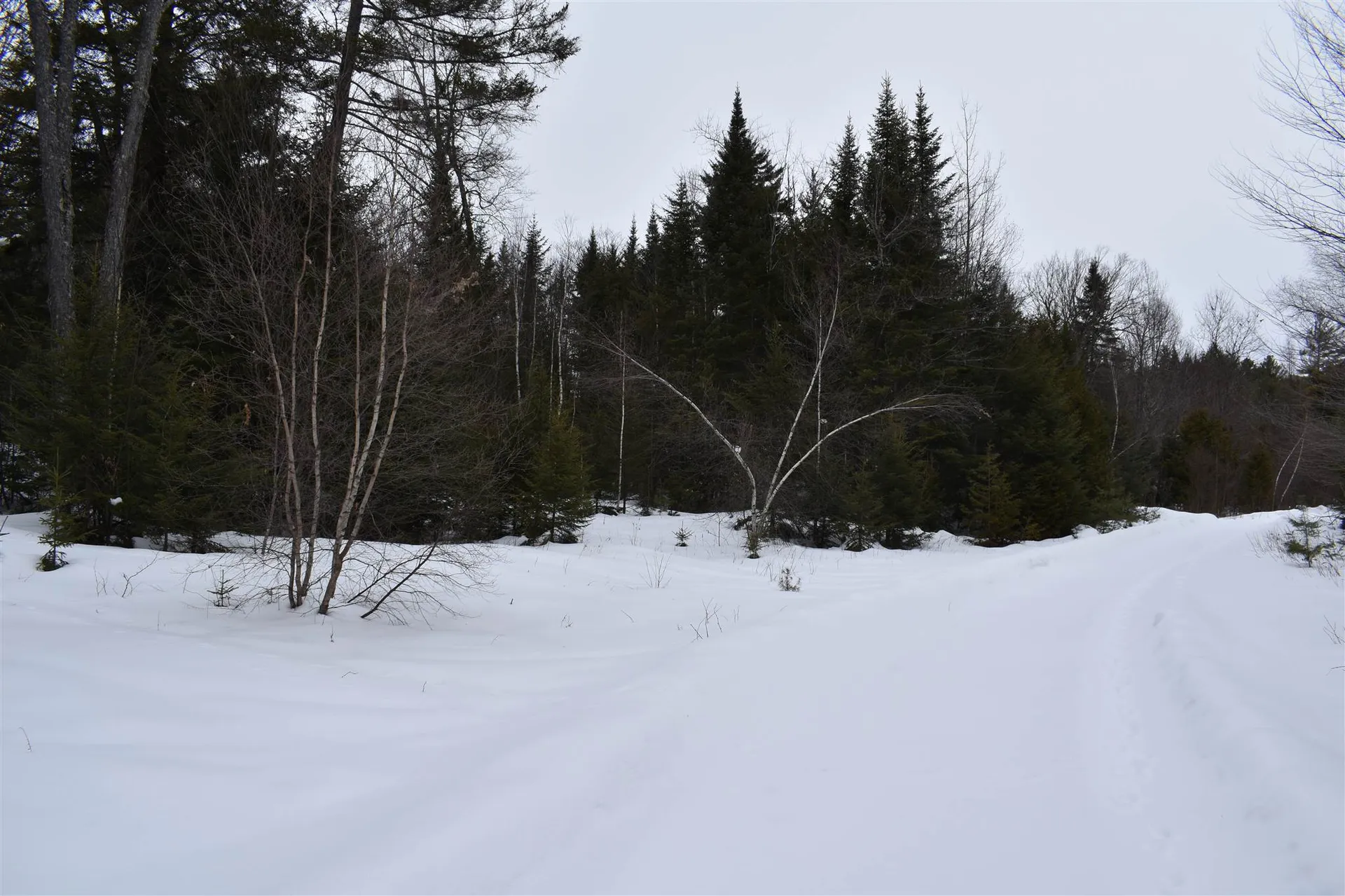 00 Twin Brooks Road Groton VT 05046