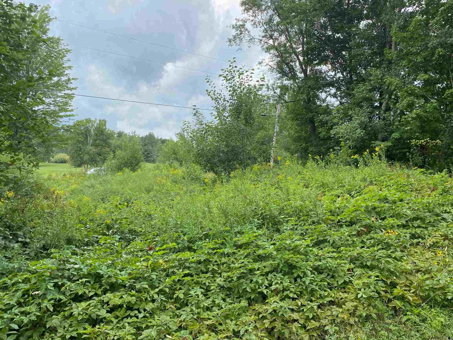 1102 Kennison Road Westfield VT 05874