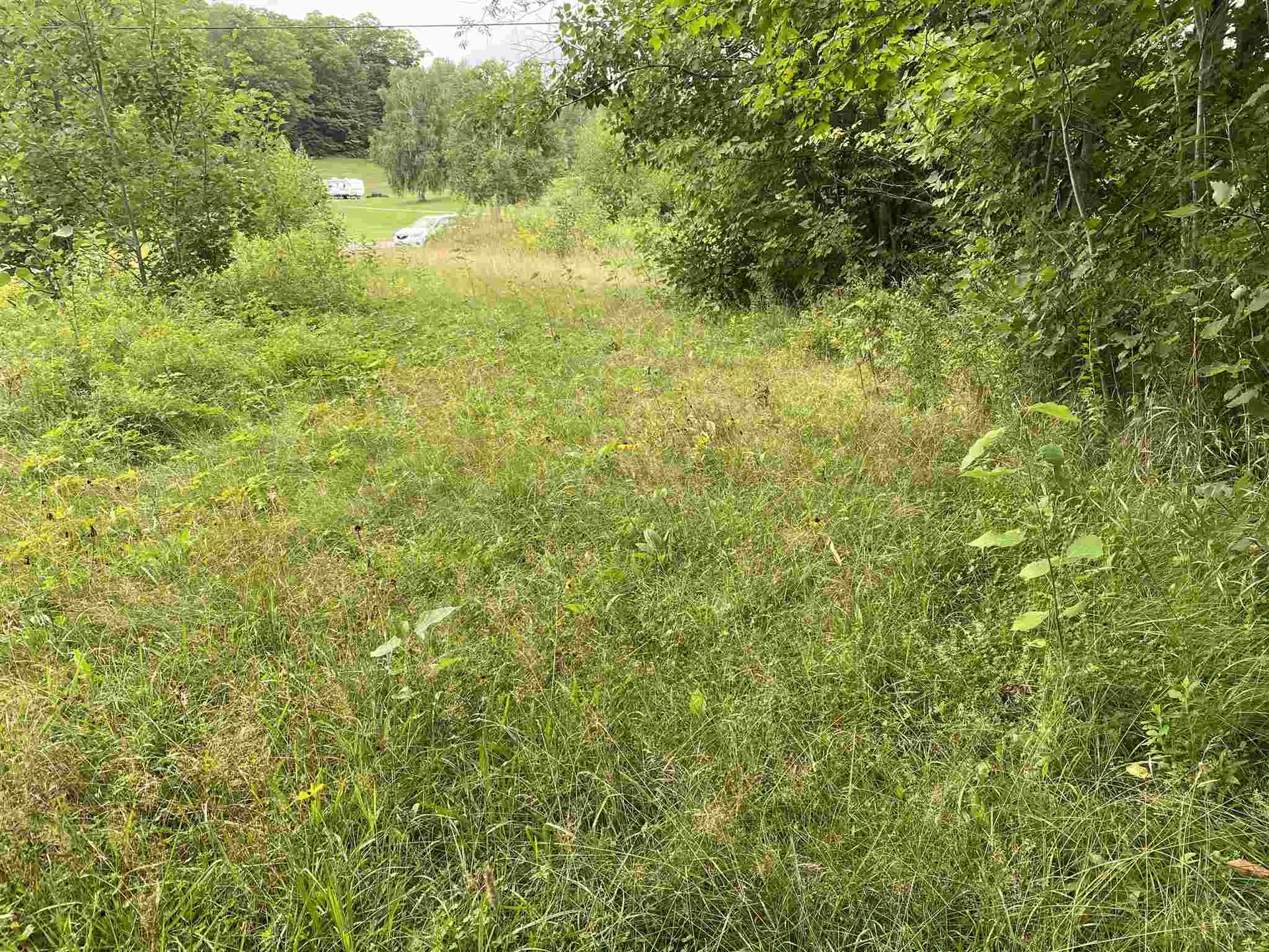 1102 Kennison Road Westfield VT 05874