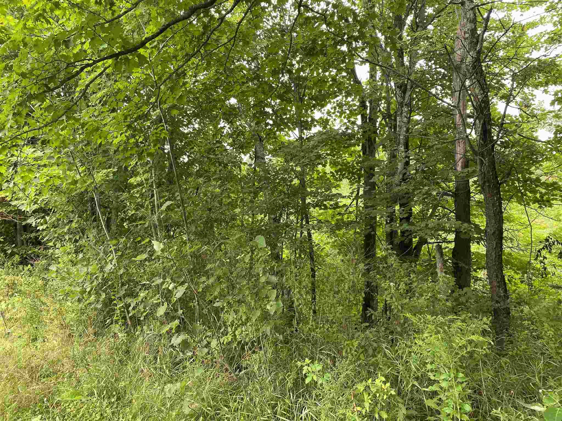 1102 Kennison Road Westfield VT 05874