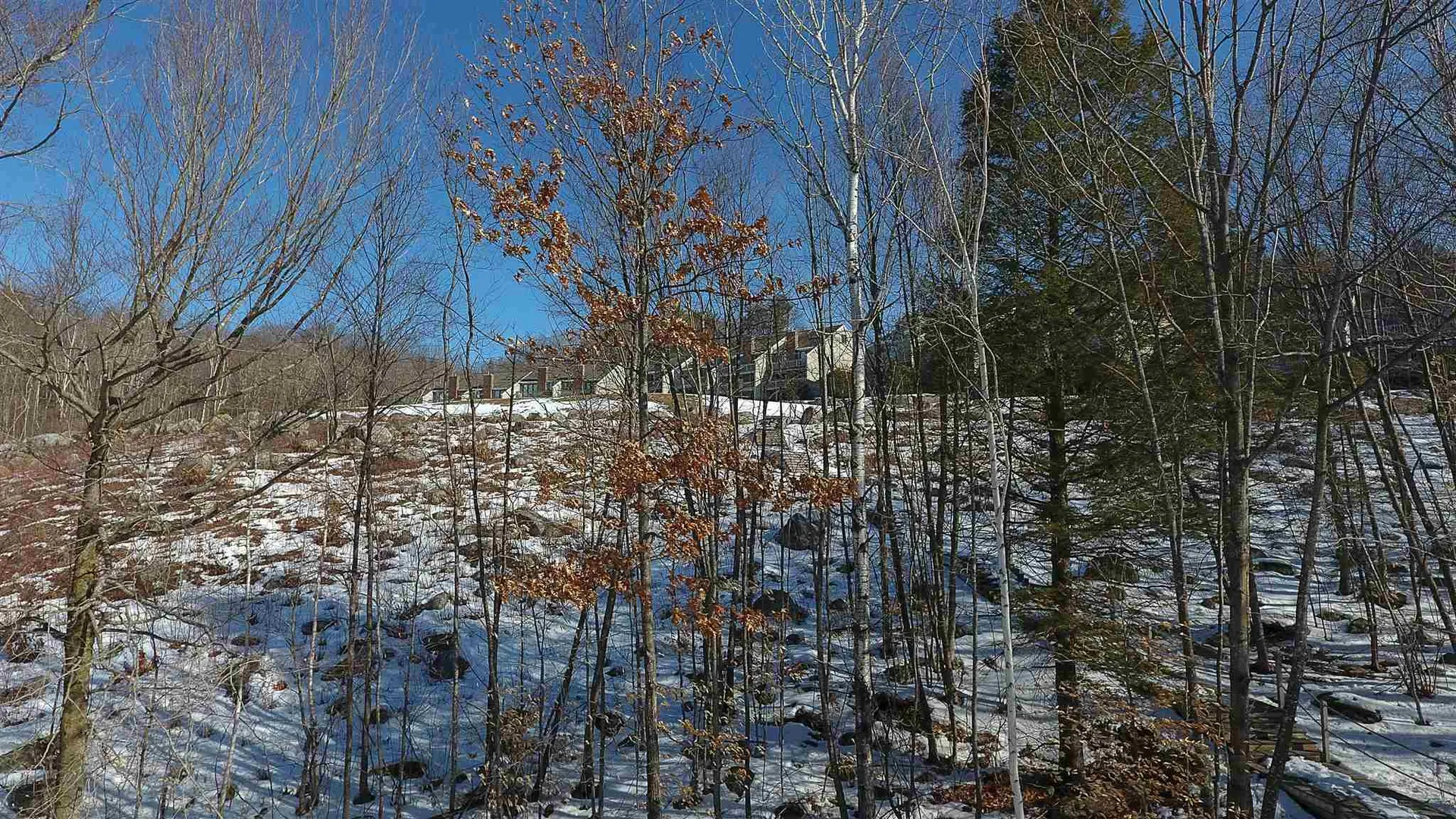 2 Mountain West Drive Wolfeboro NH 03894