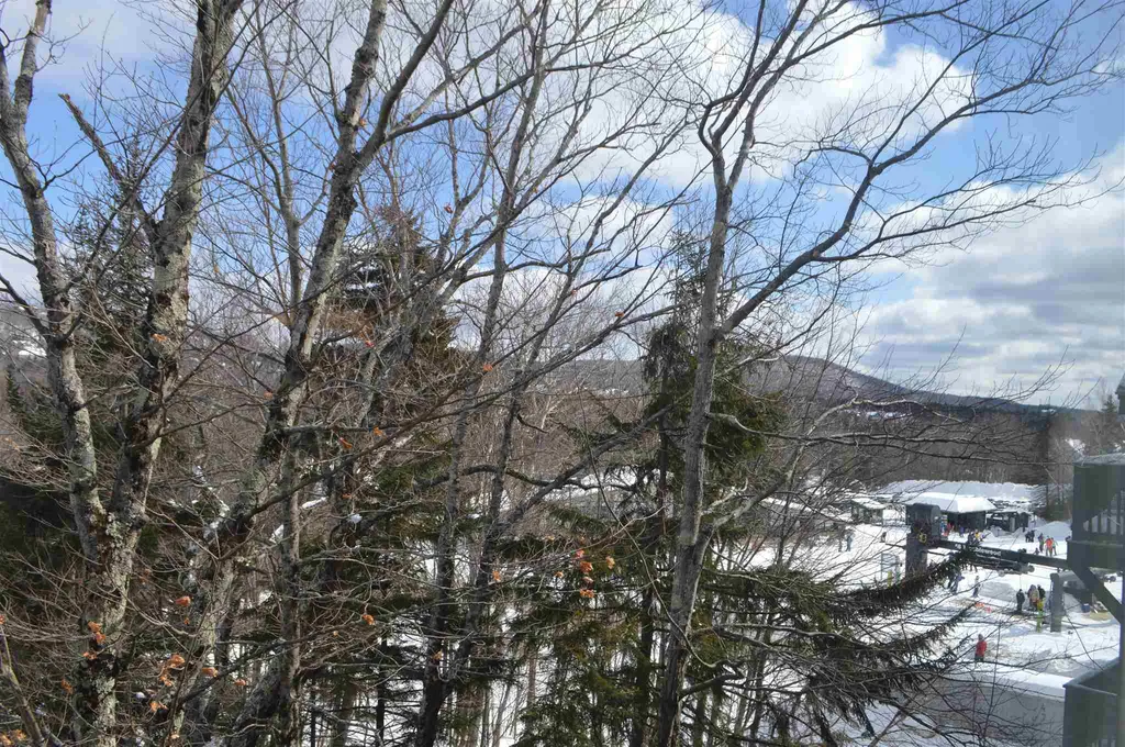 208/210, Qtr.3, 89 Grand Summit Way Dover VT 05356