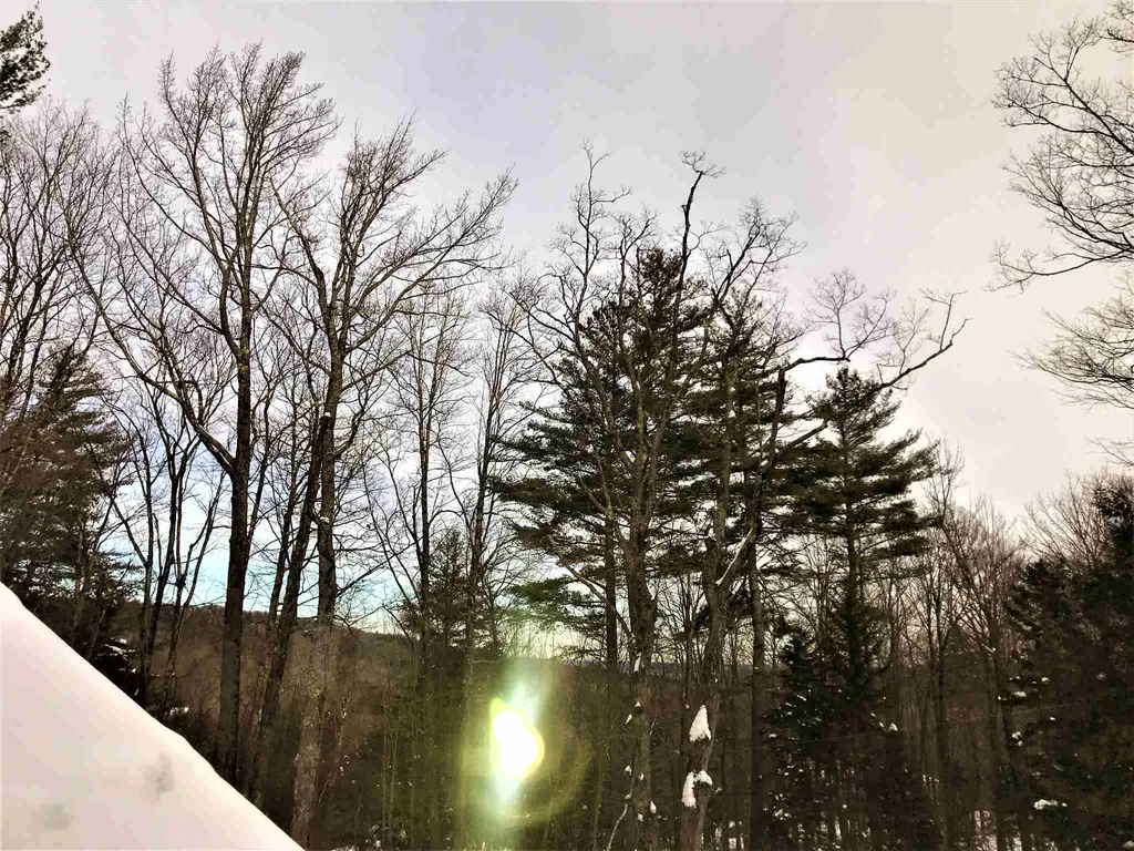 509 Silver Lane Wardsboro VT 05355