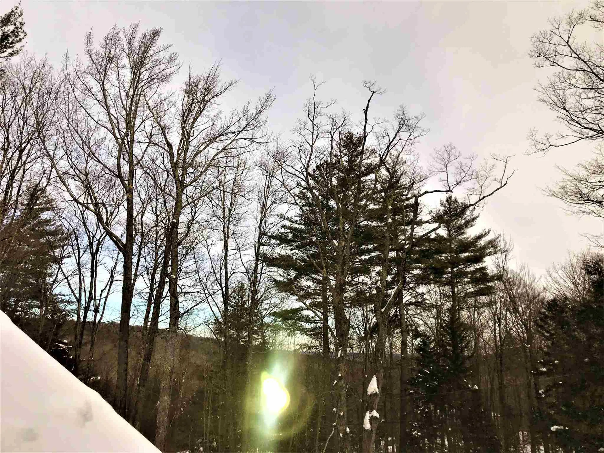 509 Silver Lane Wardsboro VT 05355
