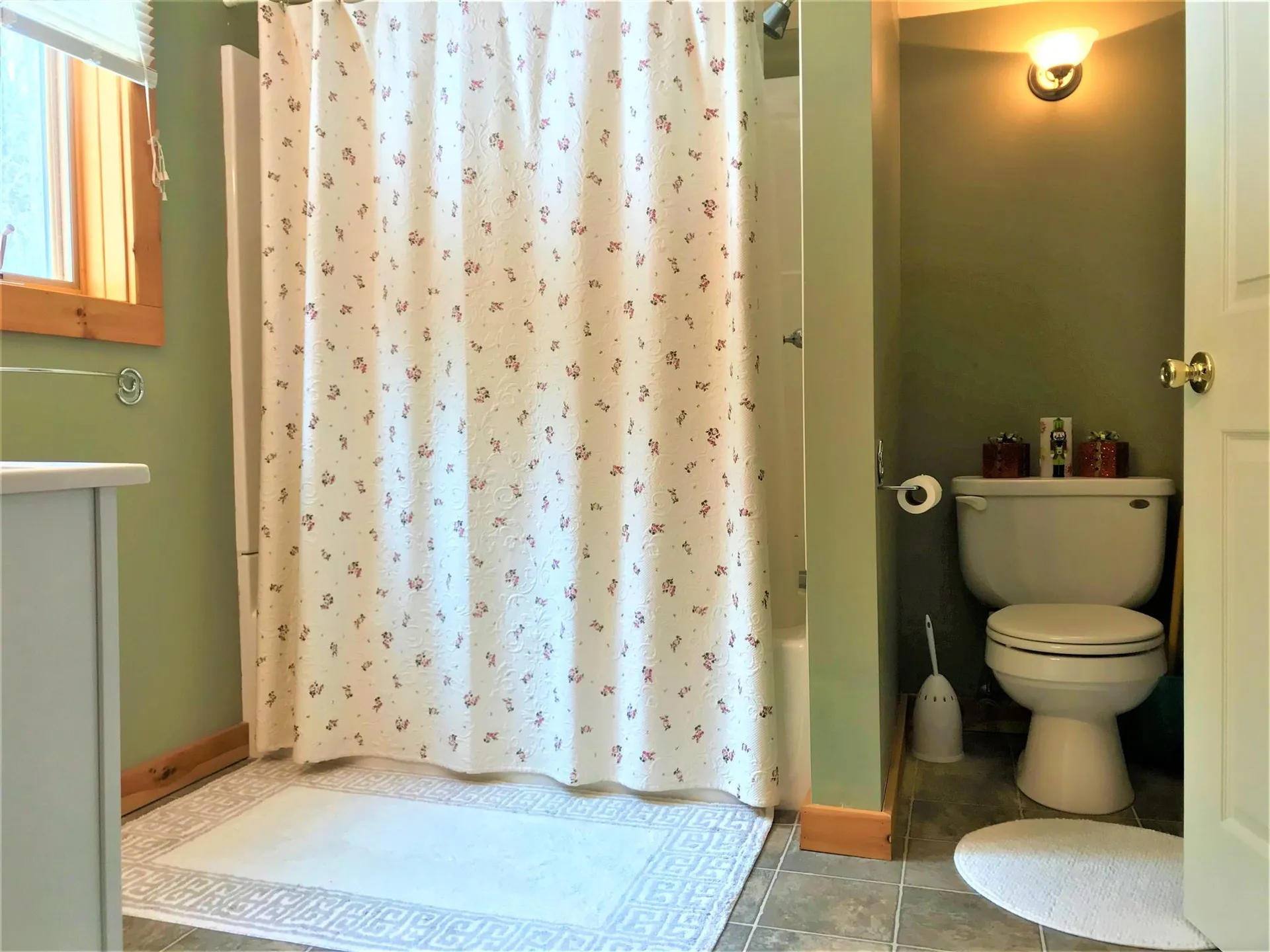 509 Silver Lane Wardsboro VT 05355