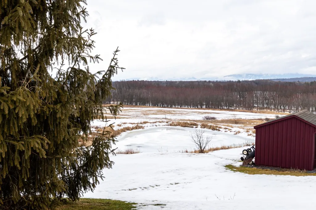 4310 Snake Mountain Road Weybridge VT 05753