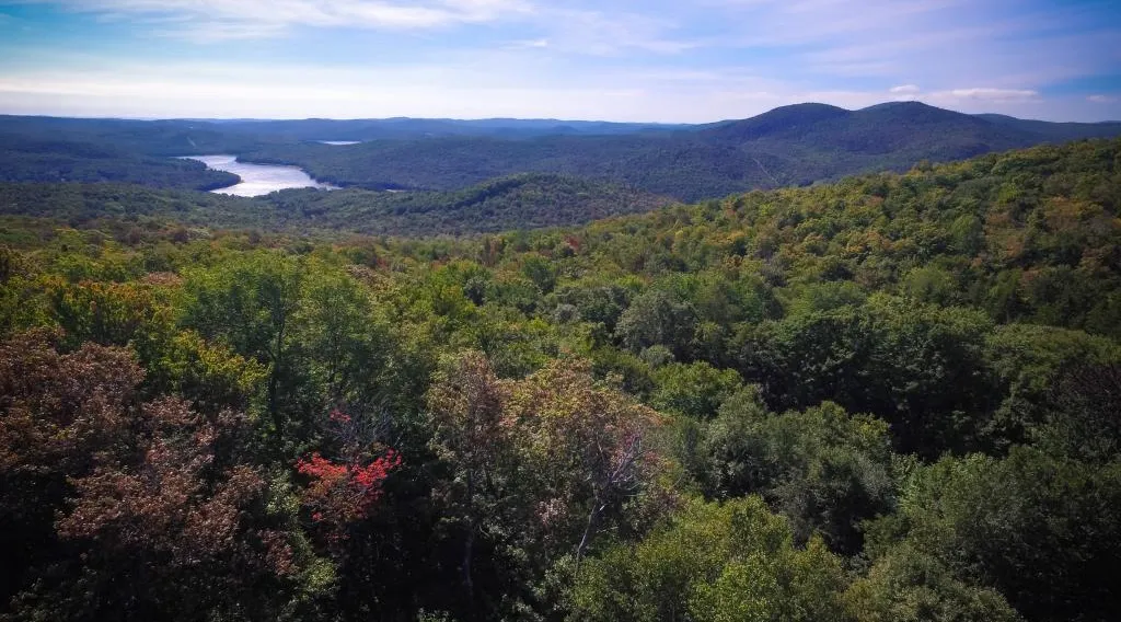 152 Spruce Grove Road Wilmington VT 05363