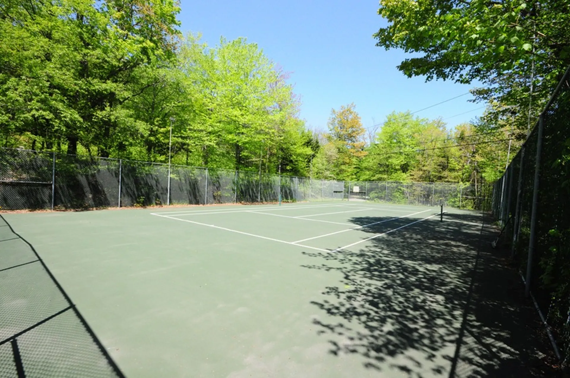152 Spruce Grove Road Wilmington VT 05363