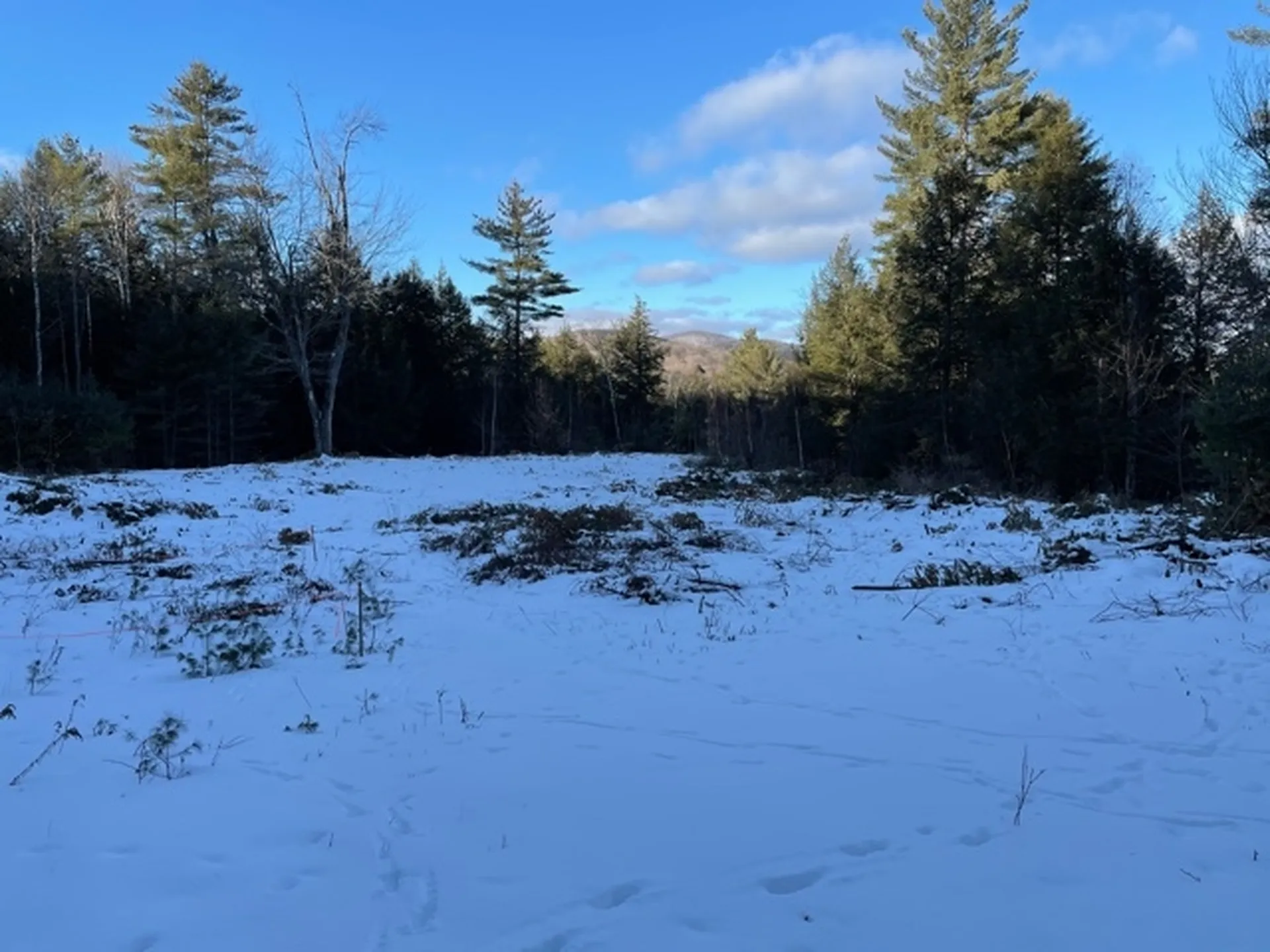 567 Sawnee Bean Road Thetford VT 05075