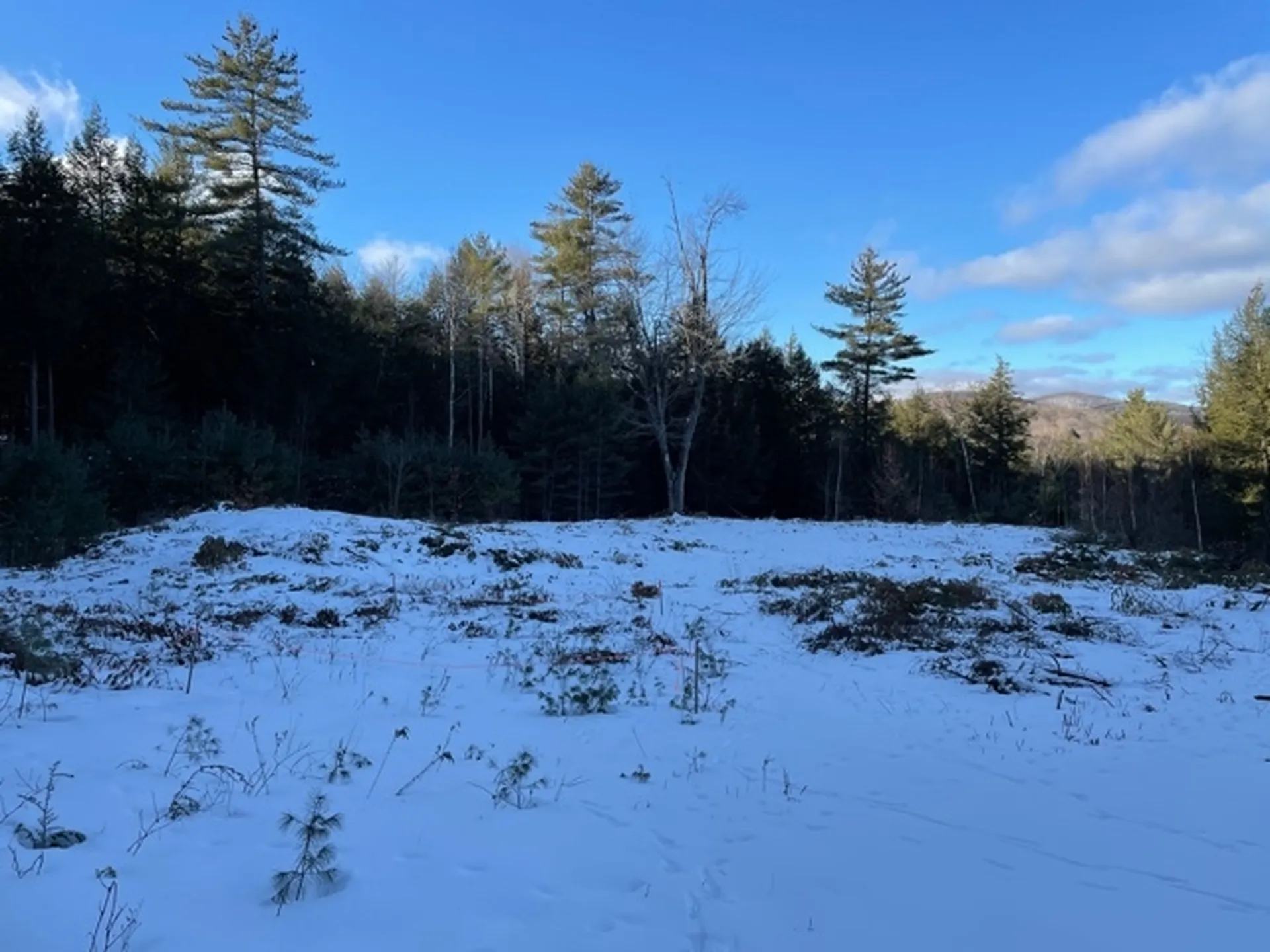 567 Sawnee Bean Road Thetford VT 05075