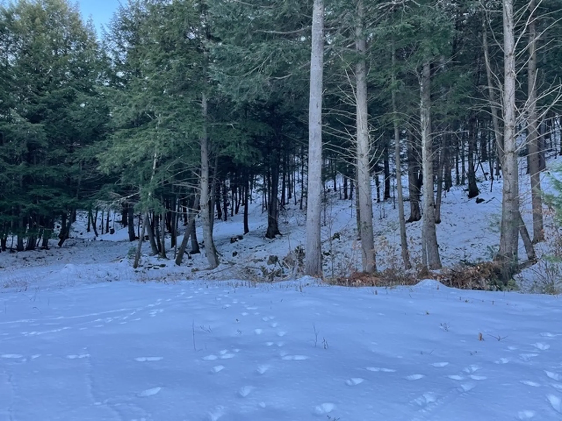 567 Sawnee Bean Road Thetford VT 05075