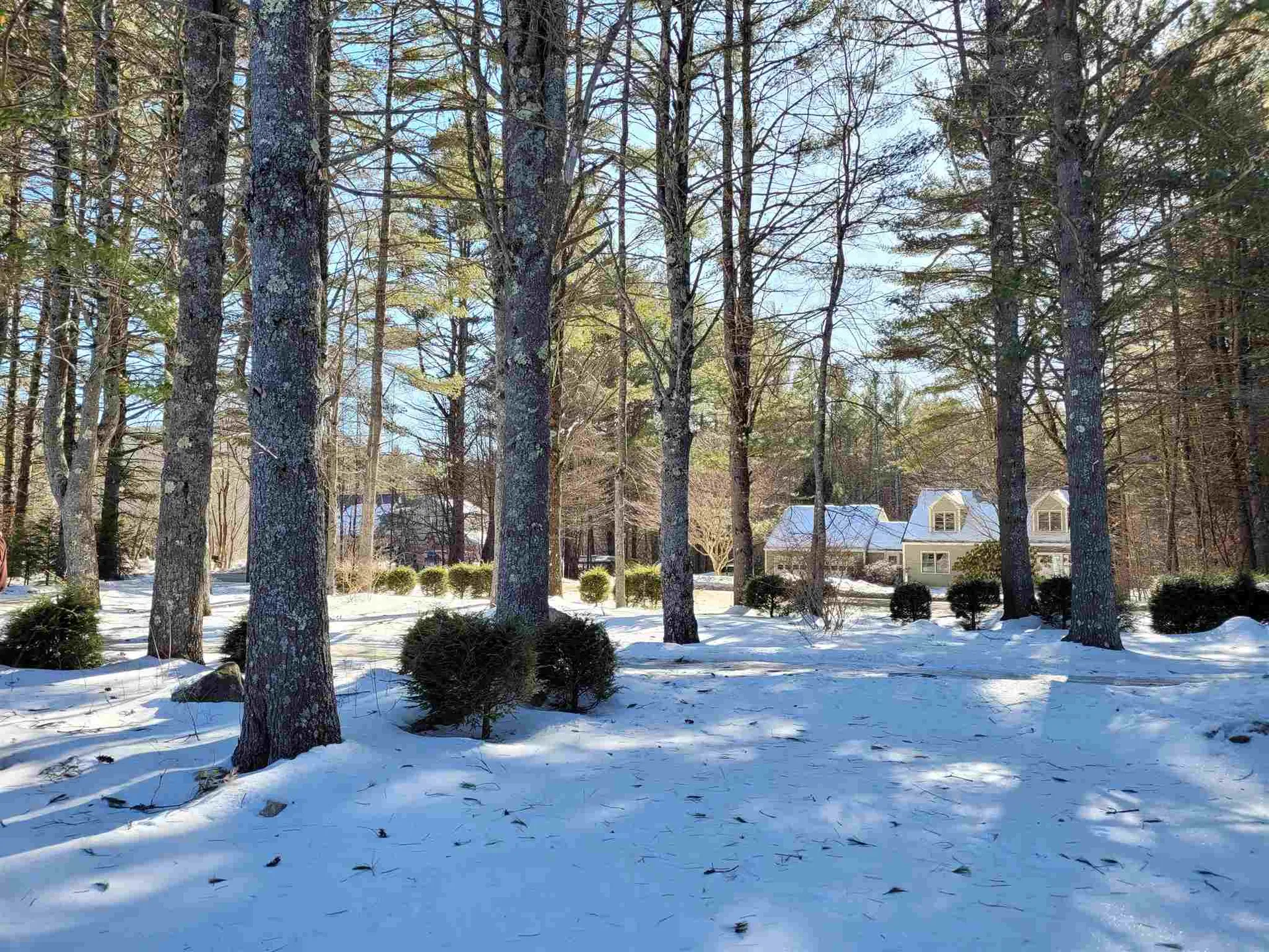 89 Morse Road Plymouth NH 03264