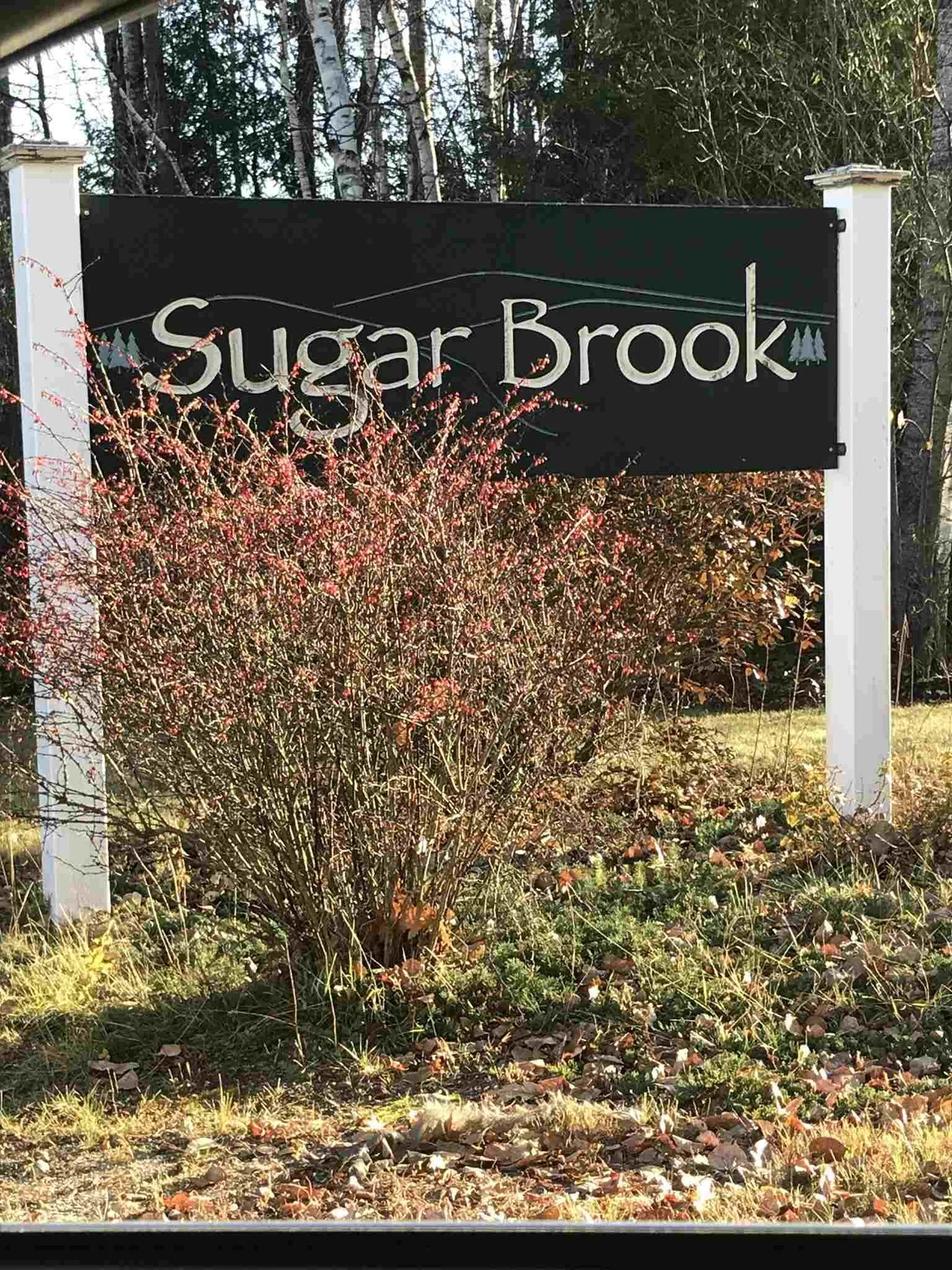 13 River View Road Newport NH 03773