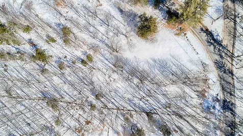 Lot 245-13 Birch Hill Road New Durham NH 03855