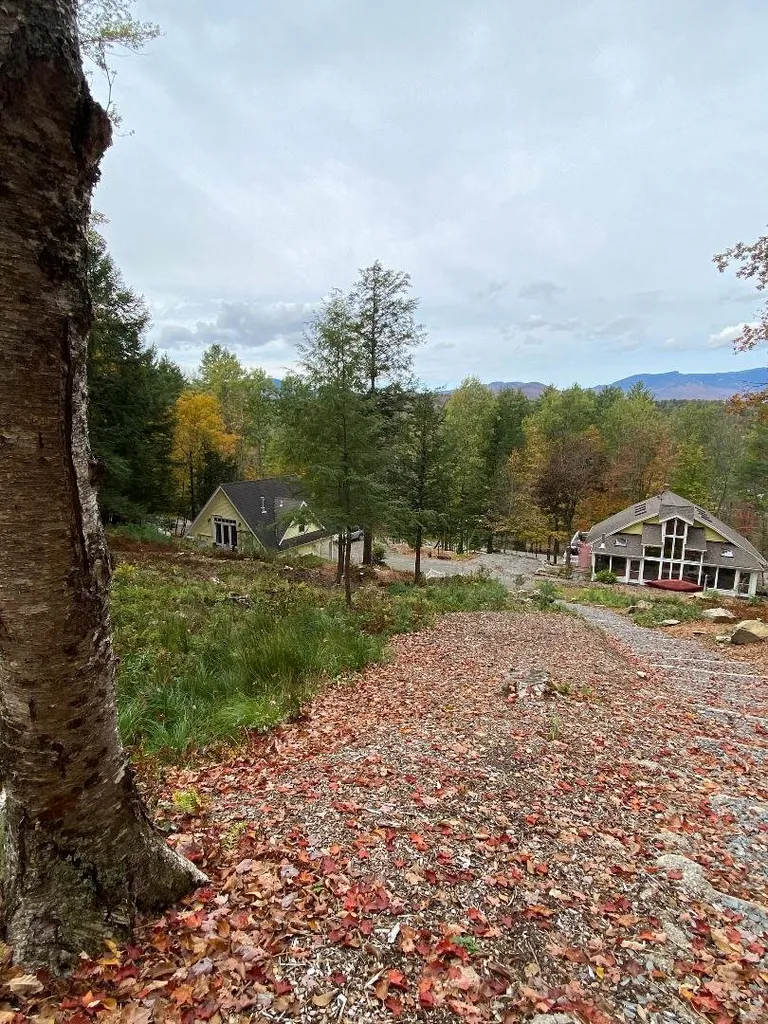 117 Stowe Hollow Road Stowe VT 05672
