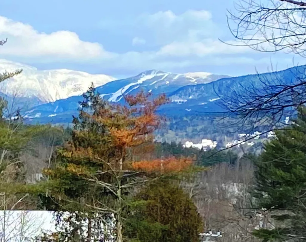 117 Stowe Hollow Road Stowe VT 05672