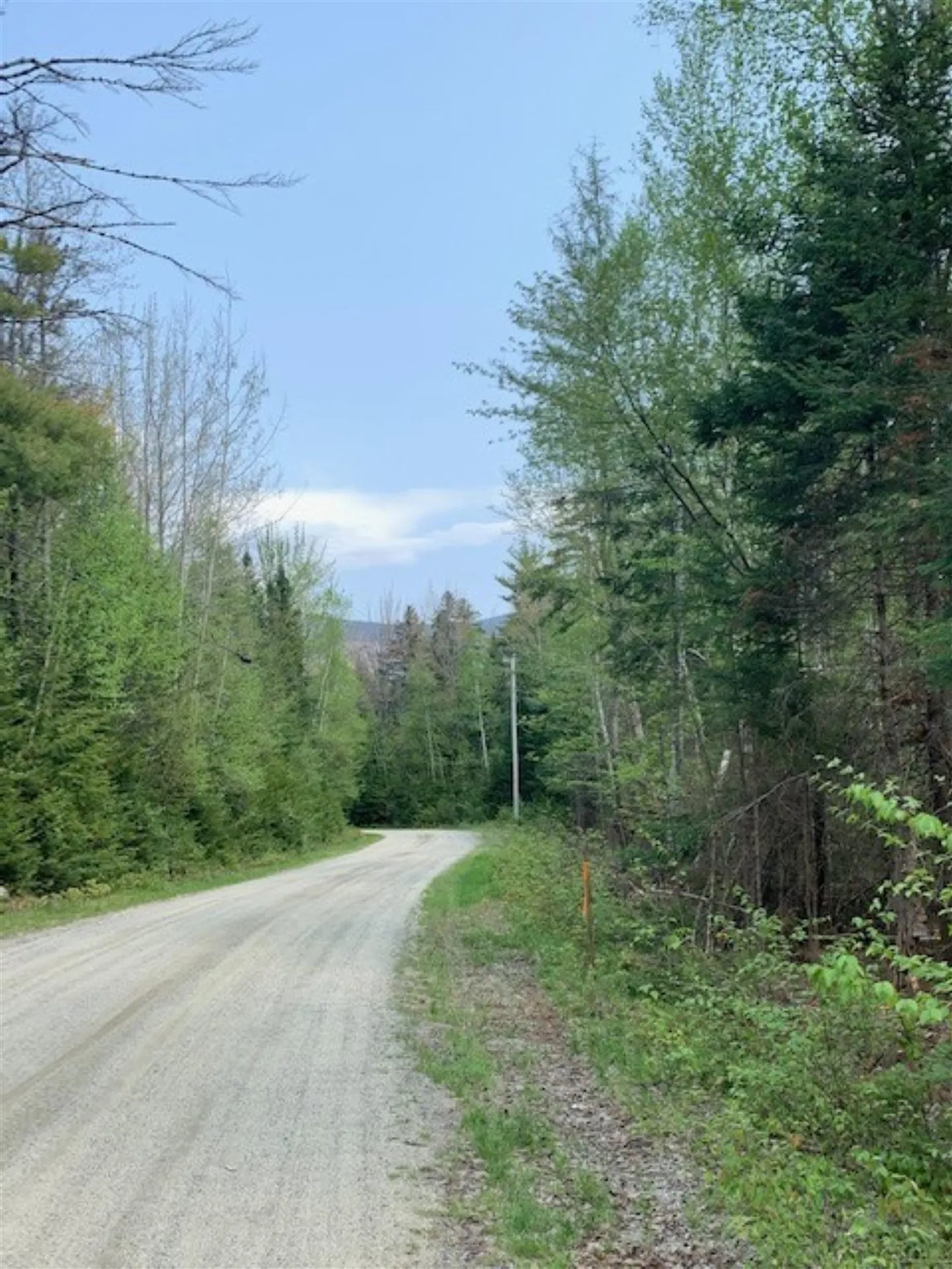 Lot 4 Enman Drive Jefferson NH 03583
